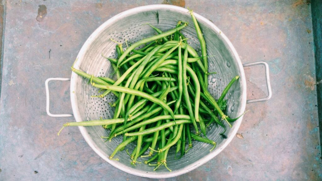 Top 10 Plants and Vegetables to Grow for a Healthy and Thriving Garden